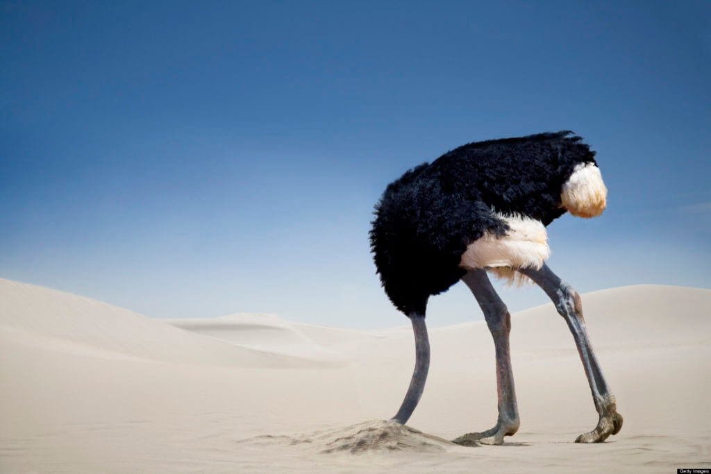 o-ostrich-in-the-sand-facebook-1024x683