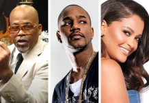 Dame Dash Just Got Bankrupted By His Own Brand