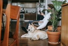 Kevin’s Eleven: Eleven Ways to Do Business in 2025/2026